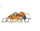 ANT