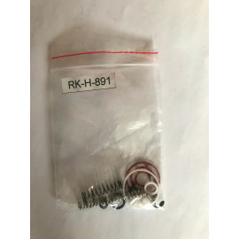 Ремкомплект для краскопультов H-891 AUARITA RK-H-891