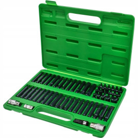 Профессиональный набор бит TORX, HEX, SPLINE, RIBE, SQ 60ед. TOPTUL GCAI6003