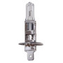 Лампа PULSO/галогенная H1/P14.5S 24v70w clear/c/box