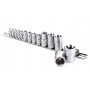 Набор головок TORX на планке TOPTUL 1/4"-1/2" E4-E24 14ед. GAAR1402