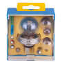 Лампа автомобильная Асим. для фары Trifa 12V 45/40W P 45t Spar kit (00501-250)