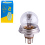 Лампа автомобильная Асим. для фары Trifa 6V 45/40W P 45t (00500)