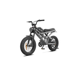 Электровелосипед Rooder 1000W, 48V25Ah, Silver