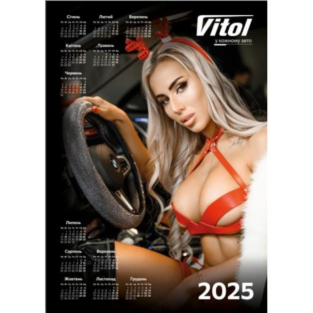 Плакат с календарем 2025 чехол на руль А2 (420х594)