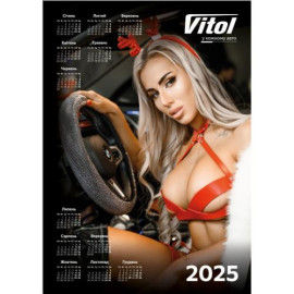 Плакат с календарем 2025 чехол на руль А2 (420х594)