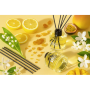 Аромадиффузор VITOL Home Sticks Fruit Garden 130 мл