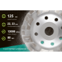 Alloid Pro. Диск алмазный шлифовальный Advanced Segment 125мм