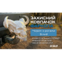 Защитный колпачок фаркопа «Череп с рогами белый»