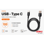 Кабель VOIN CC-1201C USB - Type C 100W 1m, Black (быстрая зарядка/передача данных)